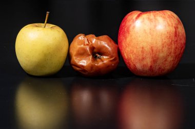Çürük elma. Tazelik çürümeye karşı. Çürük elma ve taze elma. Gıda israfı farkındalığı. Kalite kontrol denetimi. Zaman ve yaşlanma konsepti. Kırışık elmalar. Temadan önce ve sonra