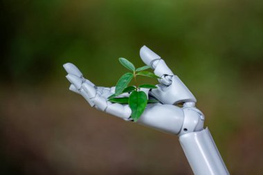 Bitkili robot el. Robot 'ta bitki yetiştirmek yeşil doğada var. Çevre teknolojisi. Al robot el ve bitki. Yeşil teknoloji konsepti. Robotik destek ortamı
