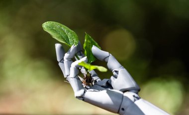 Robot el ve yeşil bitki. Yapay zeka ekolojisi. Doğa için robotik bakım. Biyoteknolojik gelecek. Robotik elde bitki büyümesi. Çevresel teknoloji vizyonu