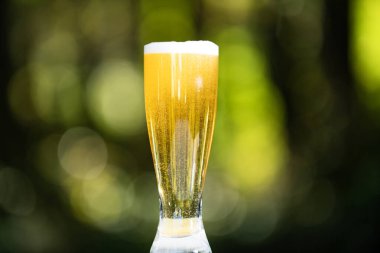 Yeşil Bokeh arka planında cam bira. Köpüklü bira yakın çekim. Bira bardağı yaz rahatlaması. El yapımı biranın tadı. Bira bardağı.