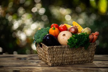 Taze sebze seçimi. Pazar için meyve ve sebze topladım. Organik tarım. Bahçe sepetinde sebzeler. Yaz sebze hasadı. Beslenmek için doğal sebzeler. Çiftçilerin hasatı