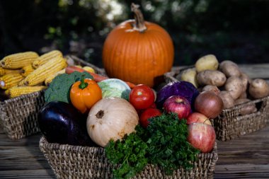 Assorted vegetables. Variety of vegetable. Mixed fruit and vegetable. Selection of vegetables on nature background. Vegetable mix assortment in basket. Set of autumn vegetables. Harvest concept