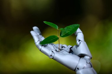 Biyoteknoloji. Çevre teknolojisi. Yeşil teknoloji. Genç bitkiyle robot eli. Yeşil yapay zeka teknolojisi. Çevre robotlar tarafından korunuyor. Biyoteknoloji teknolojisi