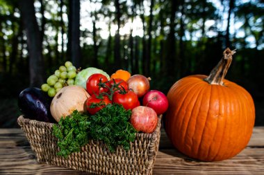 Fresh vegetables harvested from the eco farm. Basket full of green and ripe produce. Organic crops ready for healthy meals. Summer and autumn vegetables. Fresh harvest. Natural eco produce cultivation