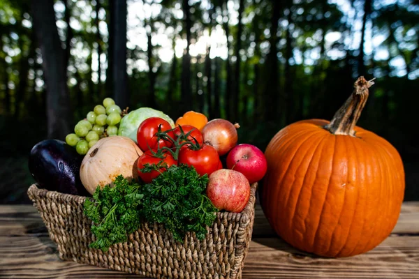 Fresh vegetables harvested from the eco farm. Basket full of green and ripe produce. Organic crops ready for healthy meals. Summer and autumn vegetables. Fresh harvest. Natural eco produce cultivation