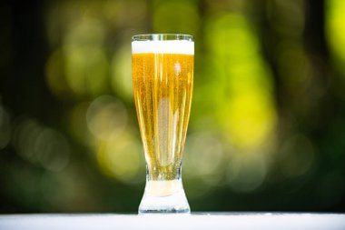 Yaz yeşili arka planda cam bira. Köpüklü bira yakın çekim. Bardakta bira, yaz tatili. El yapımı biranın tadı. Bira fincanı. Bira fabrikası konsepti
