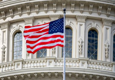 Başkent Federal Hükümeti Washington DC. Meclis Demokrasi Anayasası. Meclis Kongresi Senatosu 'nun siyasi oylaması. Capitol tarihi özgürlük sembolü