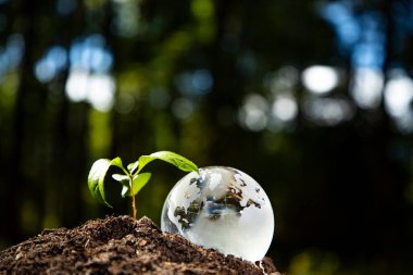 Dünya Gezegeni ekoloji ortamı. Dünya günü. Toprak yeşili doğa. Dünya biyosferi gezegeni. Gezegen dengesi