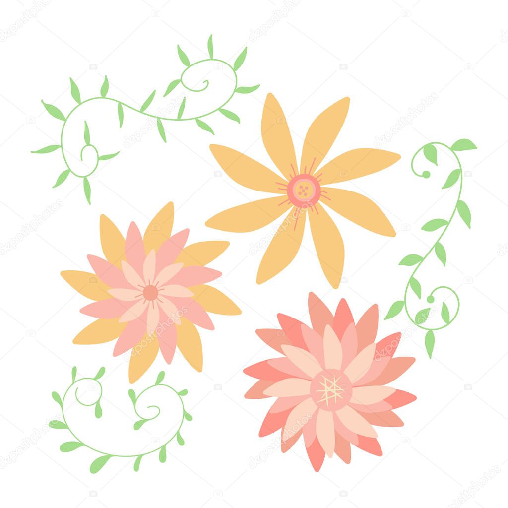 Collection of blooming flowers isolated on white background. Bundle of flowers used in floristry. Set of decorative floral design elements. Flat cartoon colorful botanical vector illustration.