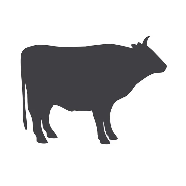 Fekete bika elszigetelt fehér background. — Stock Vector