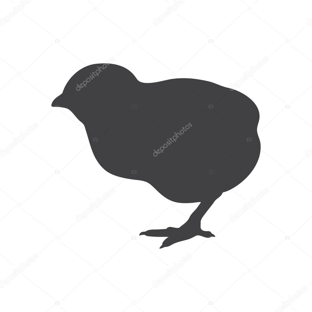 Black silhouette of a chick. Isolated on a white. Vector illustration.