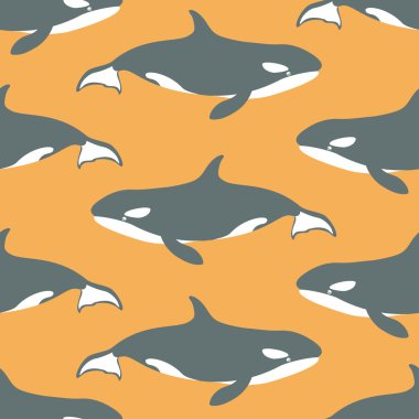 Katil balinalarda kusursuz desen.