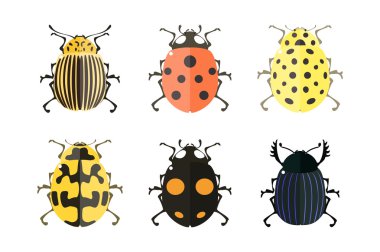 Böcek simgeler. Uğur böceği seti.