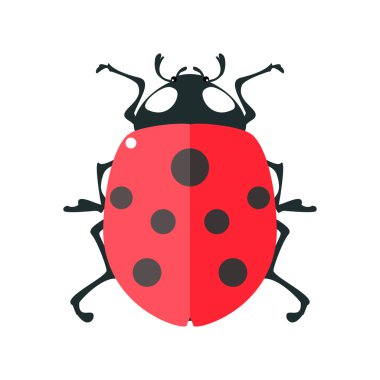 Ladybird düz tarzı.