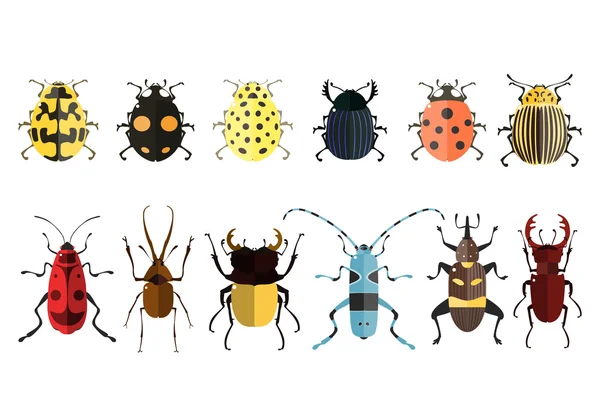 Ícones de insectos. Conjunto de insetos . —  Vetores de Stock