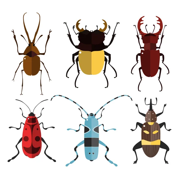 Ícones de insectos. Conjunto de insetos . —  Vetores de Stock