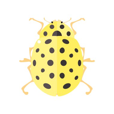 Ladybird düz tarzı.