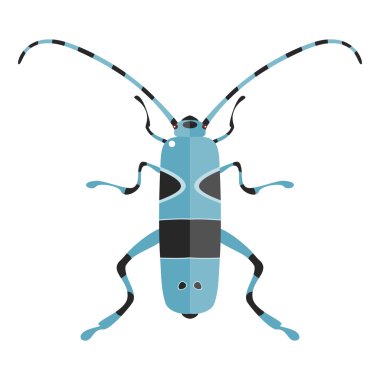 İzole Rosalia Alpina.