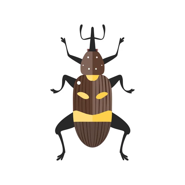 Illustrazione vettoriale di un vero weevil . — Vettoriale Stock