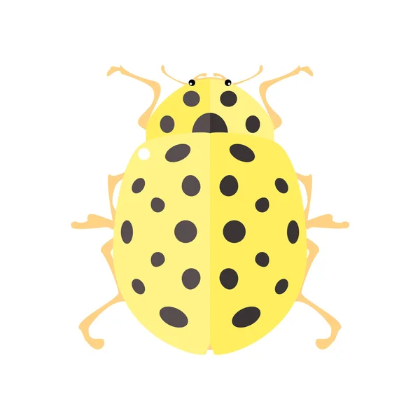 Coccinelle dans un style plat . — Image vectorielle