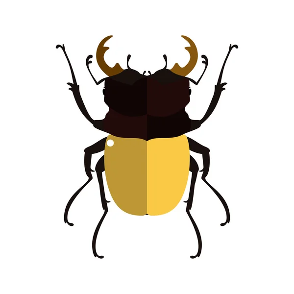 Vector illustration of a stag beetle. — Stock Vector