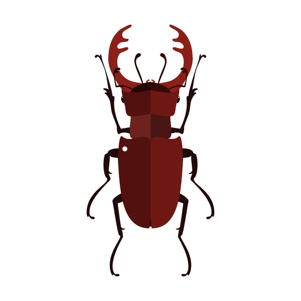Vektor ilustrasi kumbang rusa . - Stok Vektor