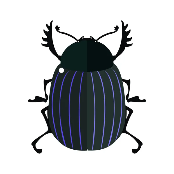 Isolated Scarab bug. — Stock Vector