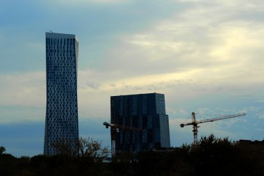 Düşen yapraklar ile ağaçların arasından modern şehir görüntüsü