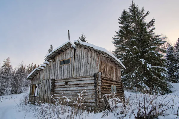 Uma Cabana Abandonada Numa Floresta Kareliana Inverno Taiga Habitação Norte — Fotografia de Stock