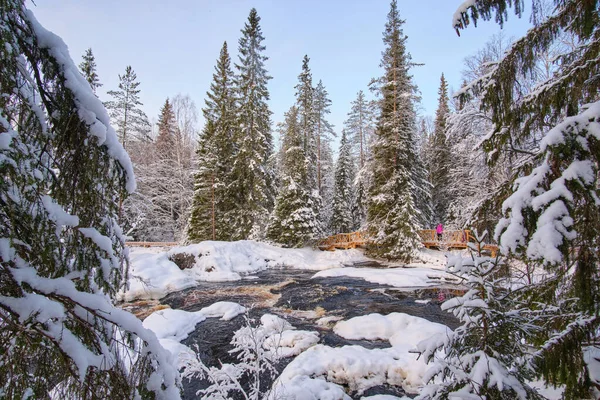 Güneşli kış havasında Ahvenkoski şelalesi yakınlarındaki Tokhmajoki dağındaki bir nehirde akıntılar. Ruskeala, Karelia.