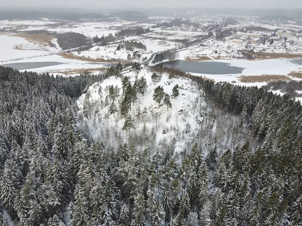 Kuşlar Passo Dağı 'na bakıyor. Kış ormanıyla çevrili. Sortavala, Karelia.