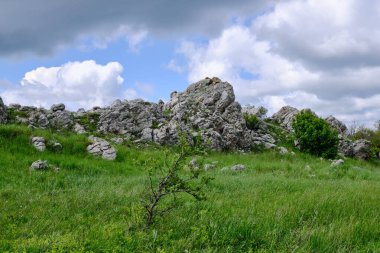 Koyu gri bulutların altında parlak yeşil çimenlerin arka planına karşı desenli taşlar. Demerdzhi dağ sırası, Kırım.