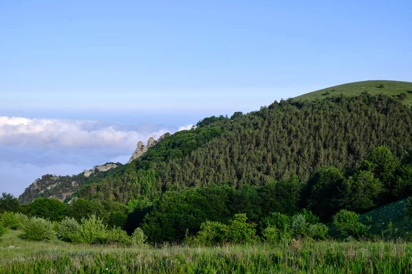 Waldbedeckung Hang Des Südlichen Demerdzhi Gebirges Zur Goldenen Stunde Krim — Stockfoto