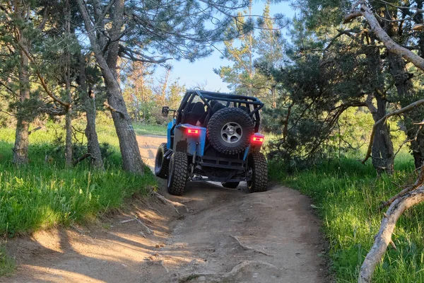 Buggy Rollos Turistas Camino Forestal Las Montañas Una Noche Verano — Foto de Stock