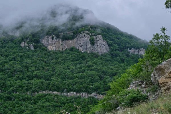 Alçak bulutlarla kaplı kayalık uçurumlarla kaplı bir dağ yamacı. Demerdzhi dağ sırası, Kırım.