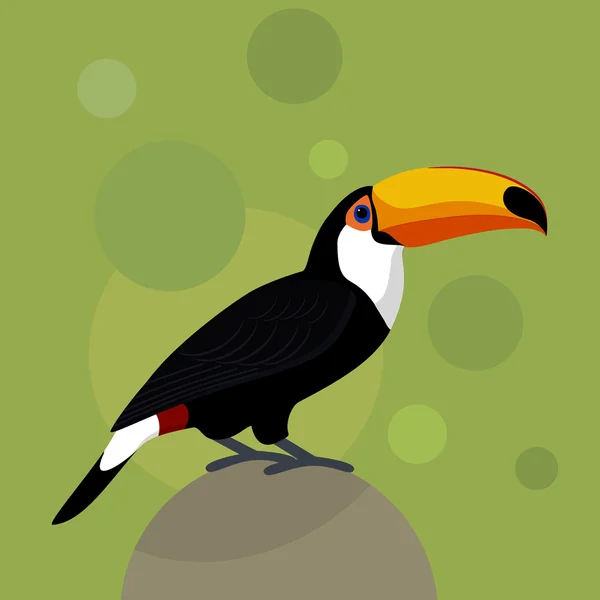 Toucan em um fundo verde —  Vetores de Stock