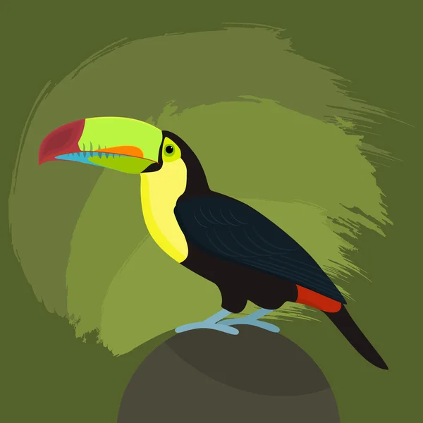 Toucan sobre um fundo verde, ilustração vetorial — Vetor de Stock