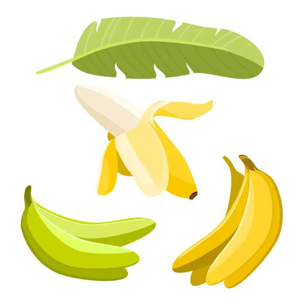 Banaan elementen, geïsoleerde vectorobjecten banaan — Stockvector