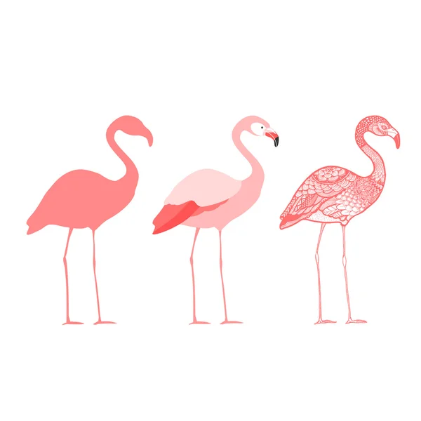 Три фламинго, изолированная векторная иллюстрация — стоковый вектор