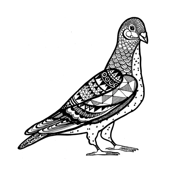 Pigeon noir stylisé Zentangle. Illustration vectorielle dessinée main — Image vectorielle
