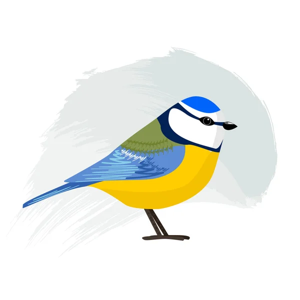 Blue Tit, uccellino su sfondo blu. Illustrazione vettoriale — Vettoriale Stock