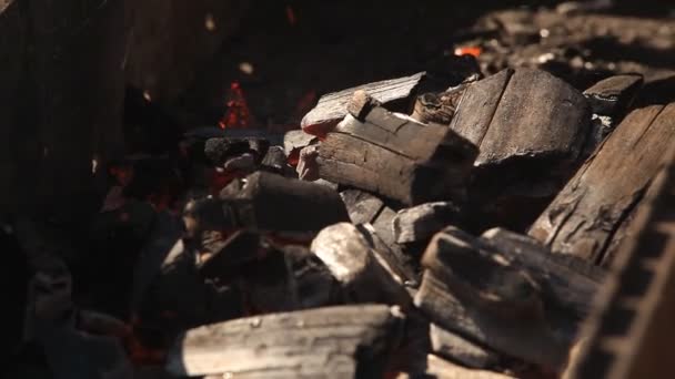 De smeulende kolen in de barbecue — Stockvideo
