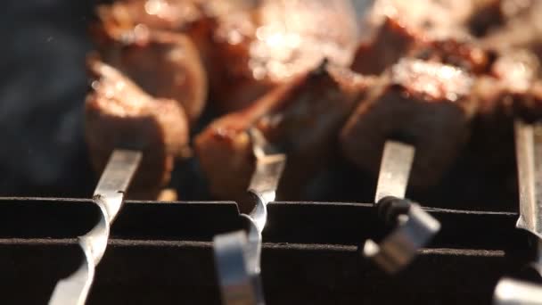 Carne cotta alla griglia — Video Stock