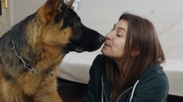 Usmívající se mladá žena tráví volný čas se svým psem doma. Mladá žena sedí na podlaze ve svém bytě se psem, německý ovčák, pes olizuje milenku — Stock video