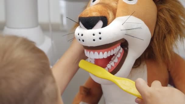 Ένα παιδί στον οδοντίατρο βουρτσίζει τα δόντια του με ένα βελούδινο παιχνίδι, μαθαίνει να το κάνει. — Αρχείο Βίντεο