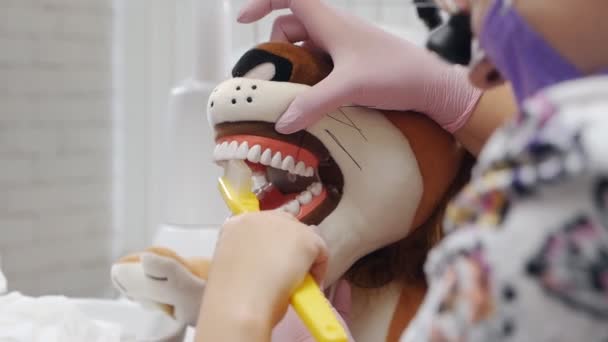 Dětský zubař se učí, jak si vyčistit zuby obrovským zubním kartáčkem — Stock video