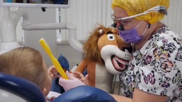 Ένα παιδί στον οδοντίατρο βουρτσίζει τα δόντια του με ένα βελούδινο παιχνίδι, μαθαίνει να το κάνει. — Αρχείο Βίντεο