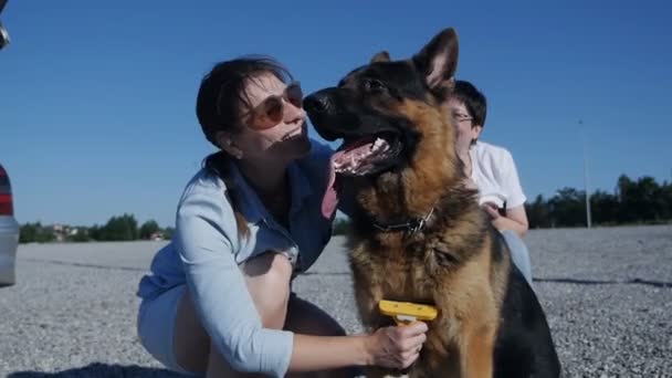 İki kadın sokakta köpeği fırçalarken sevgili köpeklerine bakarlar. Evcil hayvanlar. Yavaş çekim — Stok video