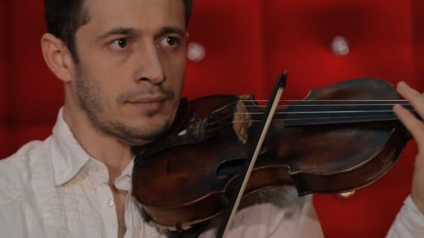 Молодой человек играет на скрипке на красном фоне — стоковое видео
