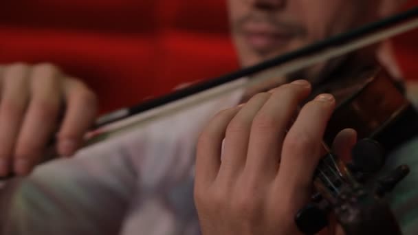 Um jovem toca violino em um fundo vermelho — Vídeo de Stock